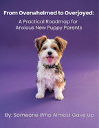 Feeling Overwhelmed by Your New Puppy? You’re Not Alone.