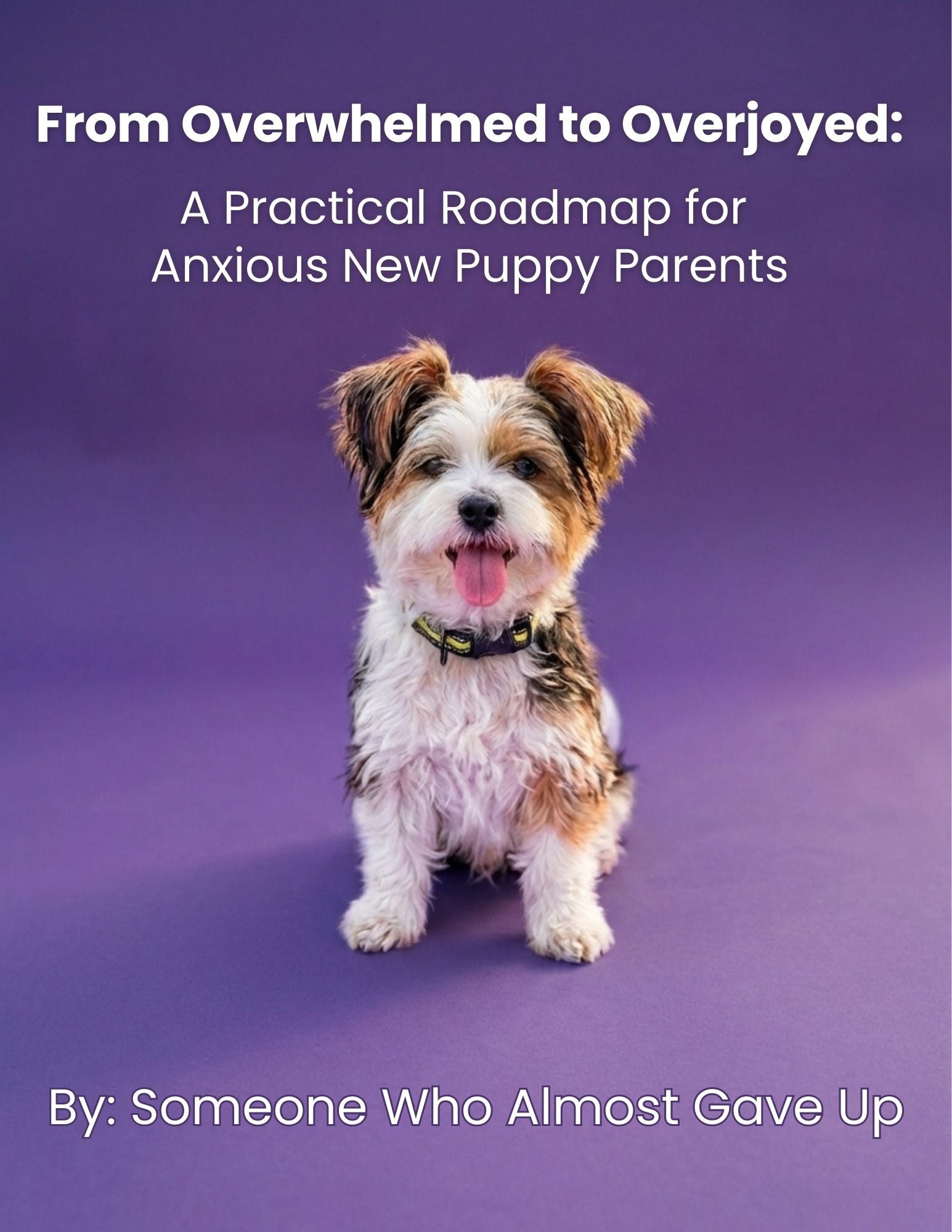 Feeling Overwhelmed by Your New Puppy? You’re Not Alone.